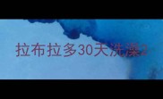 拉布拉多30天洗澡