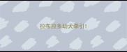拉布拉多幼犬牵引