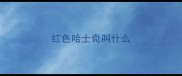 红色哈士奇叫什么
