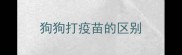狗狗打疫苗的区别