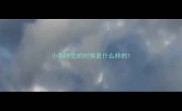 小狗睡觉的时候是什么样的