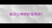 临沂口碑好的宠物店