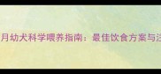 贵宾两个月幼犬科学喂养指南最佳饮食方案与注意事项