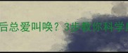 狗狗接种疫苗后总爱叫唤3步教你科学应对行为异常