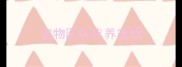 宠物医院代养宠物