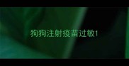 狗狗注射疫苗过敏