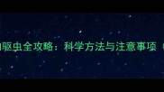 拉布拉多体内驱虫全攻略科学方法与注意事项家长必读