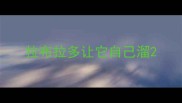 拉布拉多让它自己溜