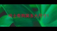 哈士奇狗窝多大尺寸