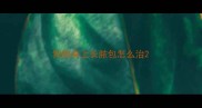 狗狗身上长脓包怎么治