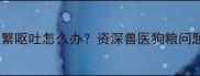 3个月金毛幼犬频繁呕吐怎么办资深兽医狗粮问题与紧急处理方案