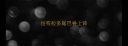 拉布拉多尾巴卷上背