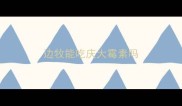 边牧能吃庆大霉素吗