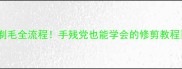 泰迪剃毛全流程手残党也能学会的修剪教程