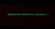 猫咪抖尾巴尖的5个原因及应对方法新手必看行为