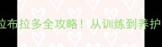 新手必看黑色拉布拉多全攻略从训练到养护的保姆级教程