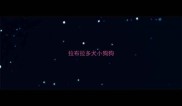 拉布拉多犬小狗狗