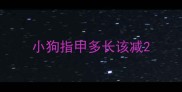 小狗指甲多长该减