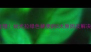 紧急处理幼犬拉绿色稀便的5大原因及解决方法