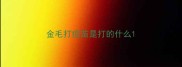 金毛打疫苗是打的什么