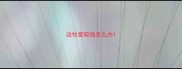边牧爱咬线怎么办