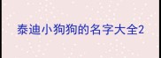 泰迪小狗狗的名字大全