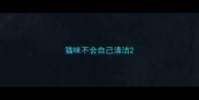 猫咪不会自己清洁