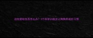 边牧爱咬东西怎么办3个科学训练法让狗狗养成好习惯