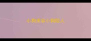 小狗美容小狗咬人