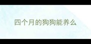 四个月的狗狗能养么