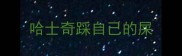 哈士奇踩自己的屎
