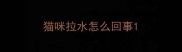 猫咪拉水怎么回事