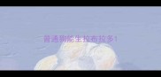 普通狗能生拉布拉多