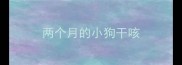 两个月的小狗干咳