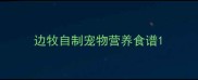 边牧自制宠物营养食谱