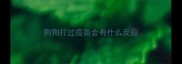 狗狗打过疫苗会有什么反应