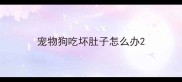 宠物狗吃坏肚子怎么办