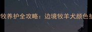 红陨石vs黑陨石边牧养护全攻略边境牧羊犬颜色护理与品种特性