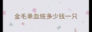 金毛单血统多少钱一只