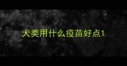 犬类用什么疫苗好点