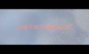 边牧不吃不喝能抗几天