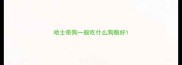哈士奇狗一般吃什么狗粮好