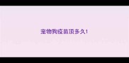 宠物狗疫苗顶多久