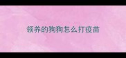 领养的狗狗怎么打疫苗