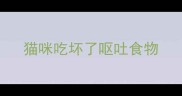 猫咪吃坏了呕吐食物