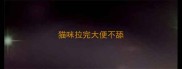 猫咪拉完大便不舔
