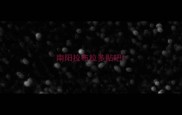南阳拉布拉多贴吧