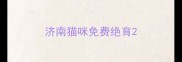 济南猫咪免费绝育