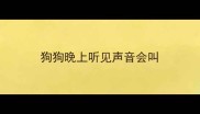 狗狗晚上听见声音会叫