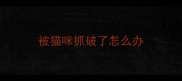 被猫咪抓破了怎么办